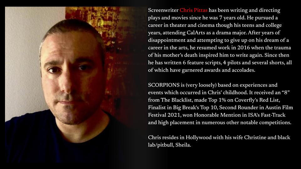 SCORPIONS pitch deck, Chris Pittas